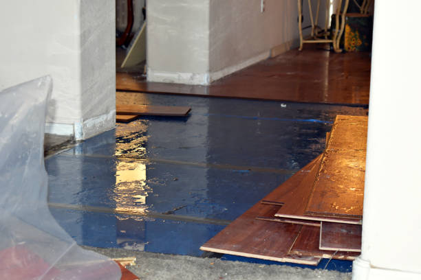 Professional Water Damage Restoration technician working in Cortez, FL